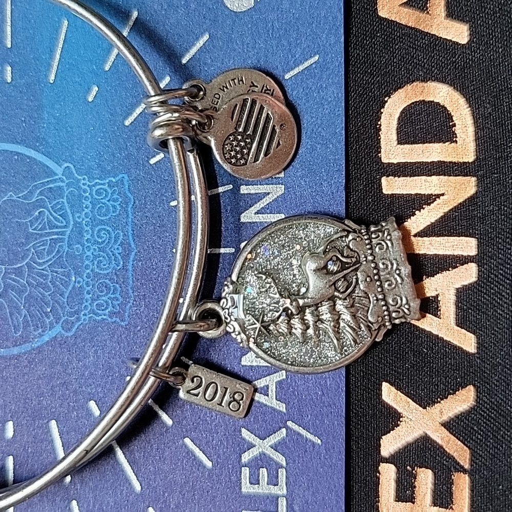 Alex and Ani Snowglobe Bracelet